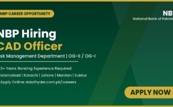 NBP Hiring CAD Officer (OGII/OGI)