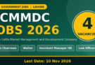PCMMDC Jobs 2026 in Lahore: Punjab Government Jobs Apply Online